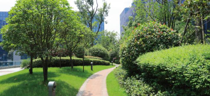 微信图片_20170621144430